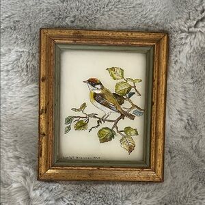 Vintage ,Framed Watercolor Bird Artwork - Yellow & Olive Tones w Signature